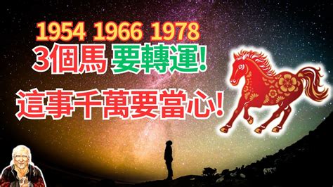 1978 屬|【1978年 生肖】1978年生肖運勢搶先看！45歲屬馬者必讀！